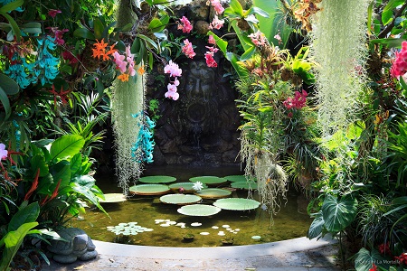 Victoria House with Victoria Amazonica, Strongylodon macrobotris, Thunbergia mysoriensis