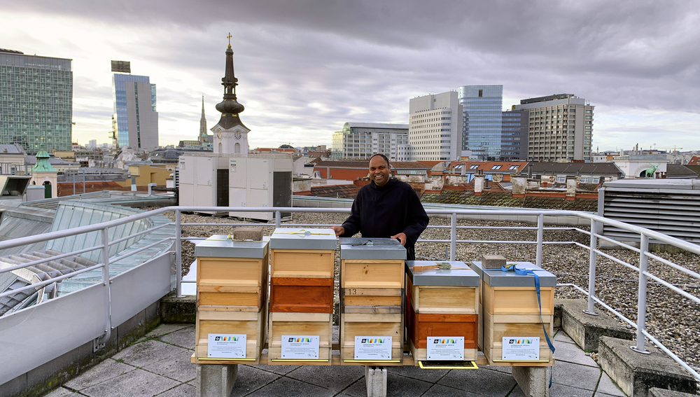 90 Bienenvölker an 11 Standorten der Barmherzigen Brüder