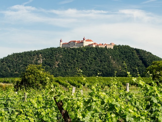 Weinbauregion Furth-Göttweig / Bernhard Rameder Weinbauregion Furth-Göttweig