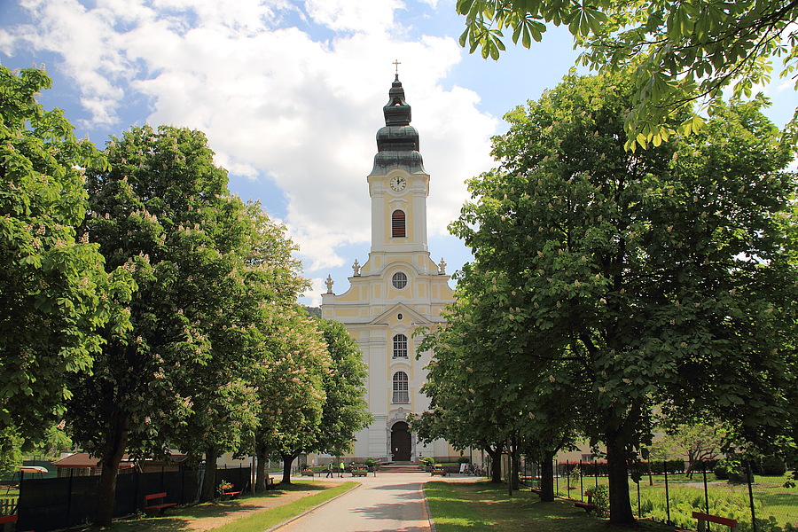 In den Verhandlungen über die Zukunft des Stifts Engelszell wurden große Fortschritte erzielt. / Schorle, Allee zur Stiftskirche Engelszell, CC BY-SA 4.0 In den Verhandlungen über die Zukunft des Stifts Engelszell wurden große Fortschritte erzielt.