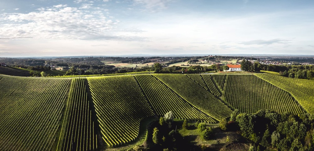 Dveri Pax-Weinberge im slowenischen Jarenina / Stift Admont/Stefan Leitner Dveri Pax-Weinberge im slowenischen Jarenina