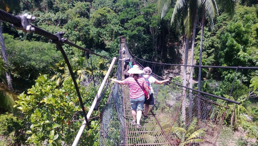 Perpetua Bridge / P. Lois Ortner Perpetua Bridge