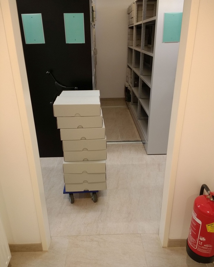 Bewegung der Archivschachteln mittels Transportwagen („Hund“) vom Lift zu den Rollregalen. / Lukas Winder