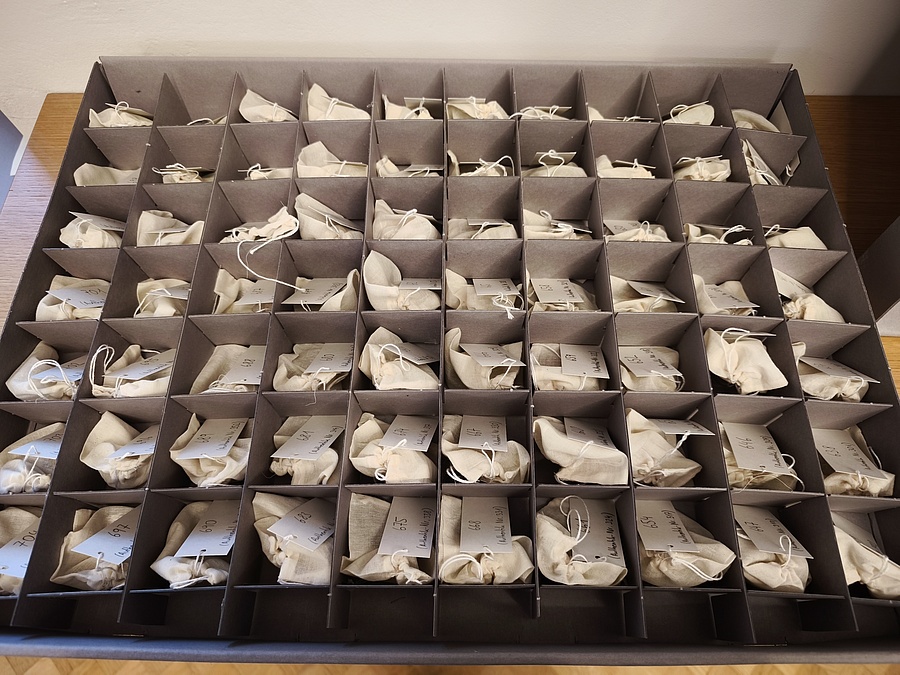 Die Reliquienkapseln werden im Archiv der Jesuiten in Wien in Säckchen aufbewahrt.